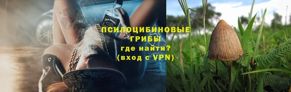 гидра Зеленокумск
