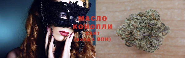 гидра Зеленокумск