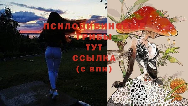 мет Зеленодольск