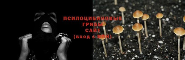 мет Зеленодольск