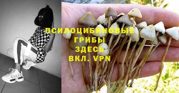 мет Зеленодольск
