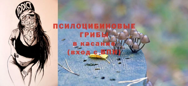 амф Зерноград